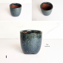 Load image into Gallery viewer, Petit Flowerpots (Series 19)
