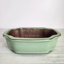 Load image into Gallery viewer, Tally Bonsai Flowerpot (Series 1)
