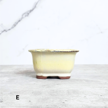 Load image into Gallery viewer, Bonsai Flowerpot (Series 24) Rectangular

