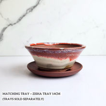 Load image into Gallery viewer, Bonsai Flowerpot (Series 51) 8 colours
