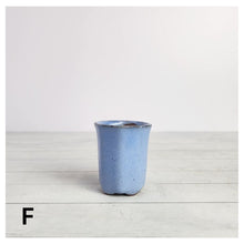 Load image into Gallery viewer, Petit Bonsai Pot (Series 7)
