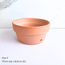 Load image into Gallery viewer, Collection of As-Is Feb 26 ceramic pots with various designs and colors Leaferie brand.
