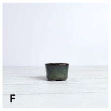 Load image into Gallery viewer, Petit Bonsai Flowerpot (Series 6)
