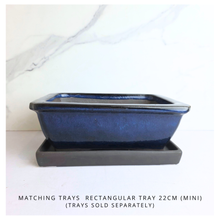 Load image into Gallery viewer, Bonsai Tally (Series 7) Rectangular Flowerpot
