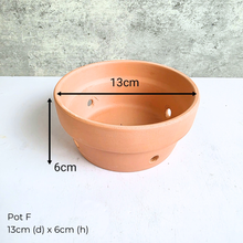 Load image into Gallery viewer, As-Is Dec 2025 Collage of various ceramic pots and planters with Leaferie logo.
