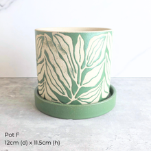 Load image into Gallery viewer, The Leaferie AS-Is March 26. pots.
