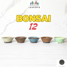 Load image into Gallery viewer, Petit Bonsai Pot (Series 12)
