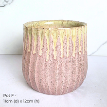 Load image into Gallery viewer, As-is Sept 26. 9 items with slight defects.
