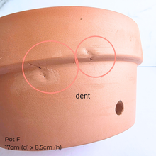 Load image into Gallery viewer, Collection of As-Is Feb 26 ceramic pots with various designs and colors Leaferie brand.
