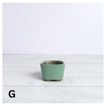 Load image into Gallery viewer, Petit Bonsai Flowerpot (Series 6)
