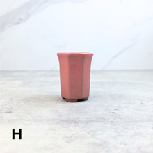 Load image into Gallery viewer, Petit Bonsai Pot (Series 7)
