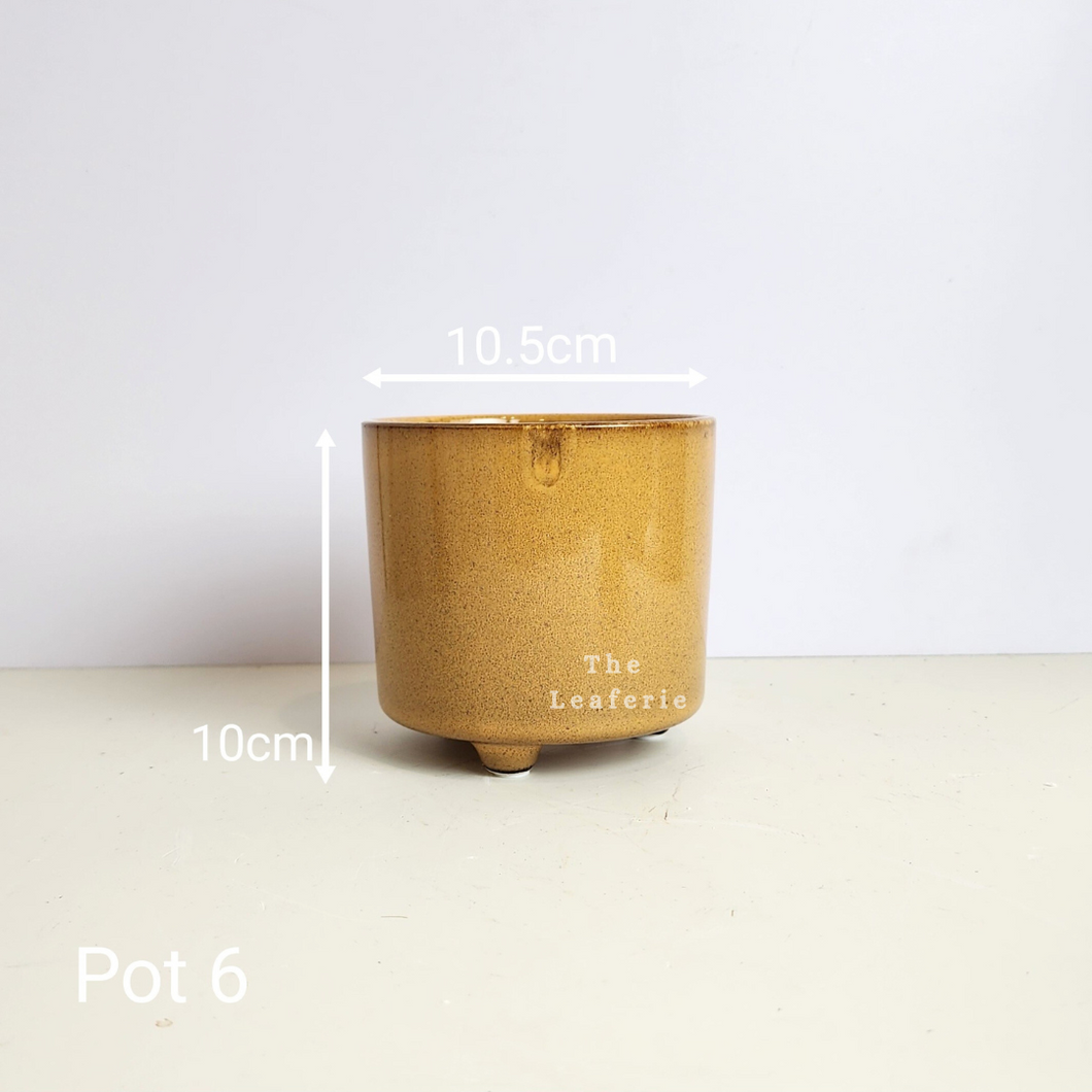 As-Is Pots Batch October 2023 (13 items)