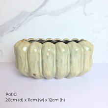 Load image into Gallery viewer, As-is Sept 25. ceramic pots and mugs with Leaferie logo.
