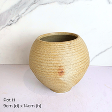 Load image into Gallery viewer, As-is ceramic pots oct/nov 25 with &#39;LEAFERIE&#39; branding.
