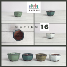 Load image into Gallery viewer, The leaferie Bonsai series 16. small pot hexagon shape. 4 colours
