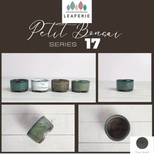 Load image into Gallery viewer, Petit Bonsai flowerpot (Series 17)
