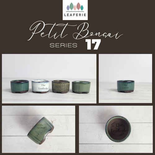 The Leaferie Petit Bonsai Series 17. small bonsai pot