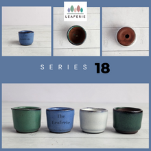 Load image into Gallery viewer, Petit Bonsai Pot (Series 18)
