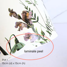 Load image into Gallery viewer, The Leaferie As-Is May 25 (9items). Defective flowerpot
