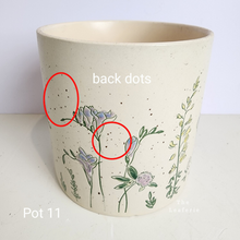 Load image into Gallery viewer, As-Is Pots Batch September 2023 (13 items)
