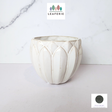 Load image into Gallery viewer, The Leaferie Averly white ceramic pot. 
