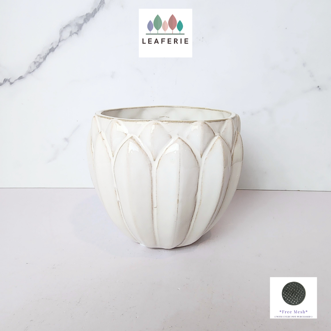 The Leaferie Averly white ceramic pot. 