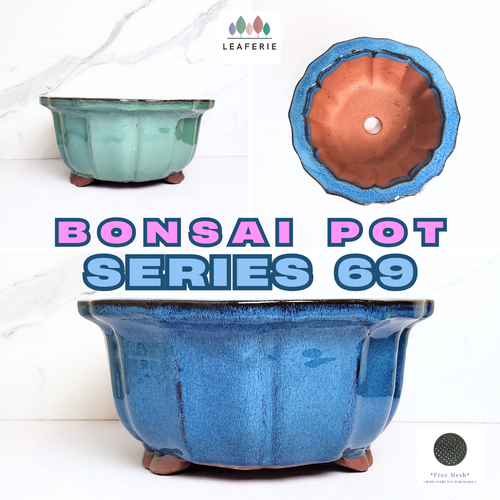 The Leaferie Bonsai flowerpot series 69. 2 colour blue and green and 2 sizes. ceramic material