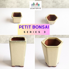 Load image into Gallery viewer, The Leaferie Petit Bonsai series 3 . Beige theme 4 designs . ceramic mini pots. photo of all designs
