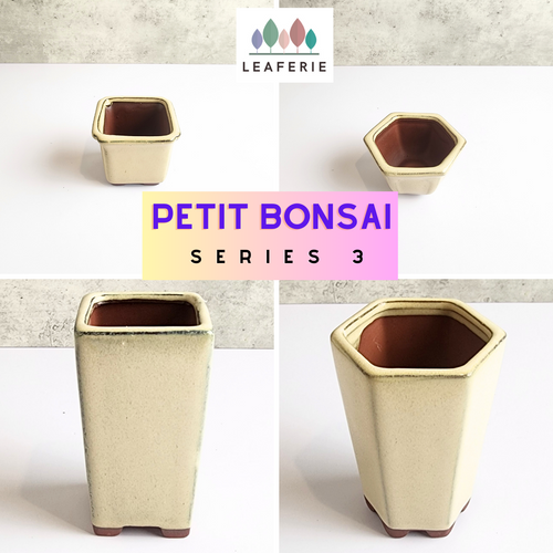 The Leaferie Petit Bonsai series 3 . Beige theme 4 designs . ceramic mini pots. photo of all designs