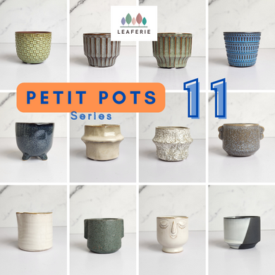 The Leaferie Petit Pots Series 11 . 12 designs mini ceramic pots. view of all 12 designs