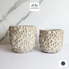 Load image into Gallery viewer, The Leaferie Gatsby Flowerpot. ceramic rock like pot
