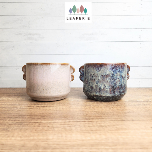 The Leaferie Phirun pot. 2 designs ceramic pot with handle