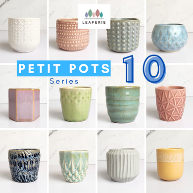 The Leaferie Petit pots Series 10 . 12 designs of ceramic mini pots. view of all 12 designs
