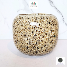 Load image into Gallery viewer, The Leaferie Brooke flowerpot. ceramic material . black and beige colour
