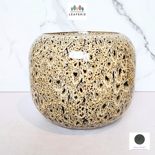 The Leaferie Brooke flowerpot. ceramic material . black and beige colour