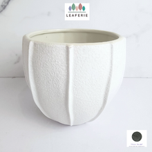 Load image into Gallery viewer, The Leaferie Pearl white ceramic pot
