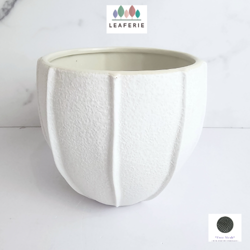 The Leaferie Pearl white ceramic pot