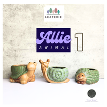 Load image into Gallery viewer, Allie Animal Flowerpots (Series 1)
