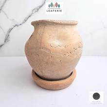 Load image into Gallery viewer, The Leaferie Yun Terracotta pot with tray
