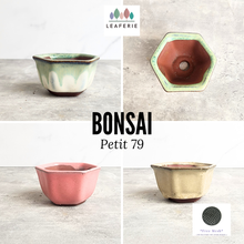 Load image into Gallery viewer, The Leaferie Bonsai 79. Hexagon shape 4 colours ceramic pot
