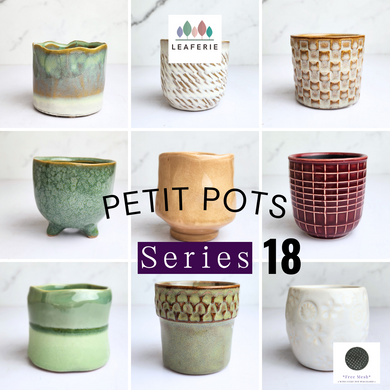 The Leaferie Petit pots series 18. 9 designs ceramic pot for succulents