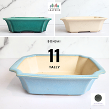 Load image into Gallery viewer, The Leaferie Bonsai Tally Series 11. 3 colours (Green, white and light blue ceramic material) 
