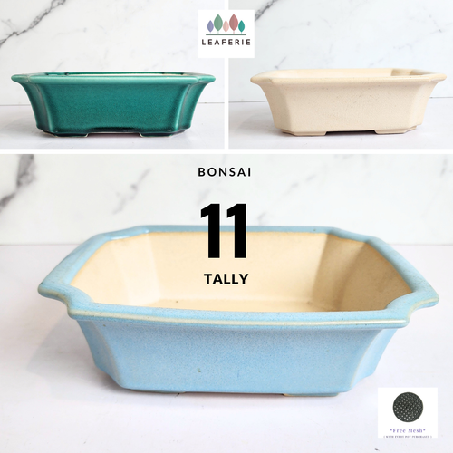 The Leaferie Bonsai Tally Series 11. 3 colours (Green, white and light blue ceramic material) 