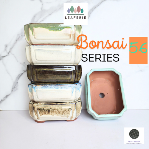 The Leaferie Bonsai Series 55 rectangular bonsai pots. ceramic material 6 colours