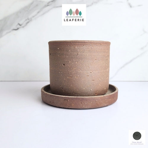 The Leaferie Yana Terracotta pot with tray. rustic dark brown colour