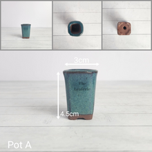 Load image into Gallery viewer, Petit Bonsai Pot (Series 5)
