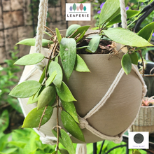 Load image into Gallery viewer, The Leaferie Lyon Hanging pot Series 15. with string and no drainage hole
