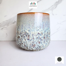 Load image into Gallery viewer, The Leaferie Toro Flowerpot . Ceramic Material
