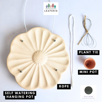 Ysla Self-watering hanging pot with components on a white background, featuring Leaferie brand.