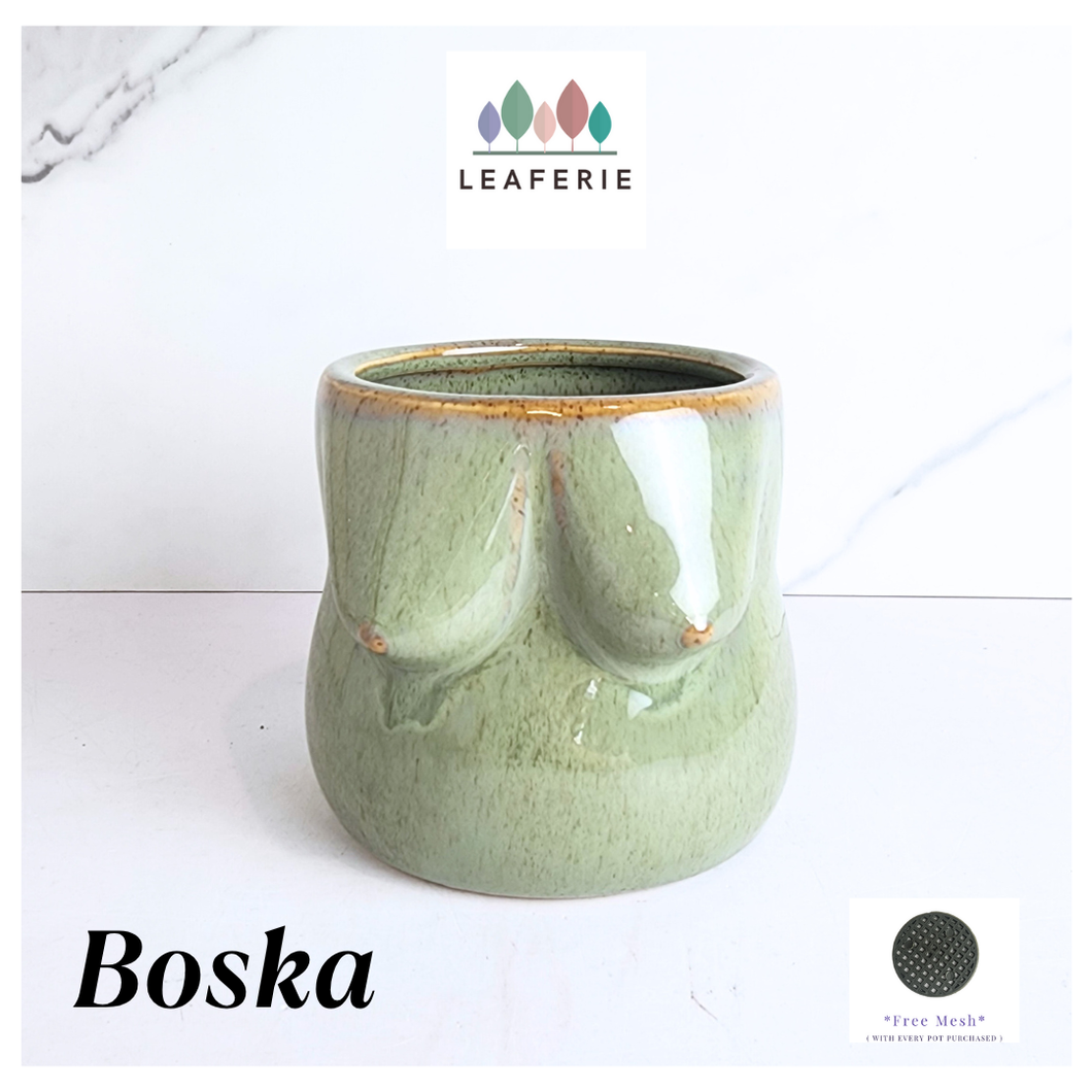 Green ceramic planter with 'Leaferie' branding on a white background